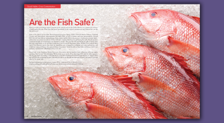 fish_print